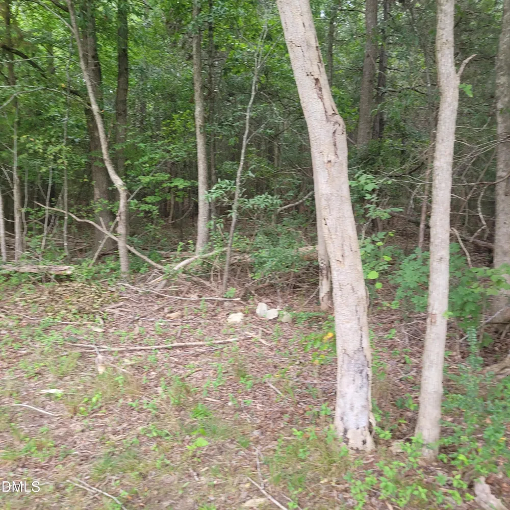 0 Highway 49 Mebane, NC 27302