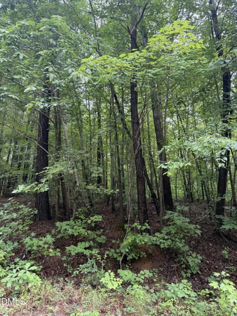 Lot 12 Frazier Lane