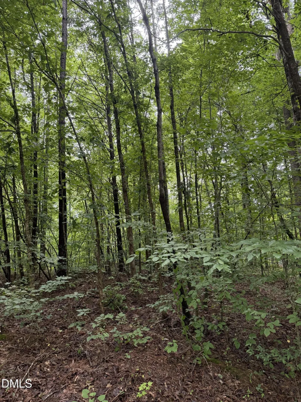 Lot 12 Frazier Lane Franklinton, NC 27525