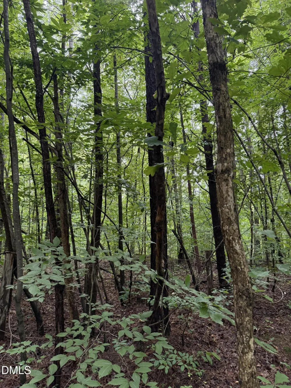 Lot 12 Frazier Lane Franklinton, NC 27525