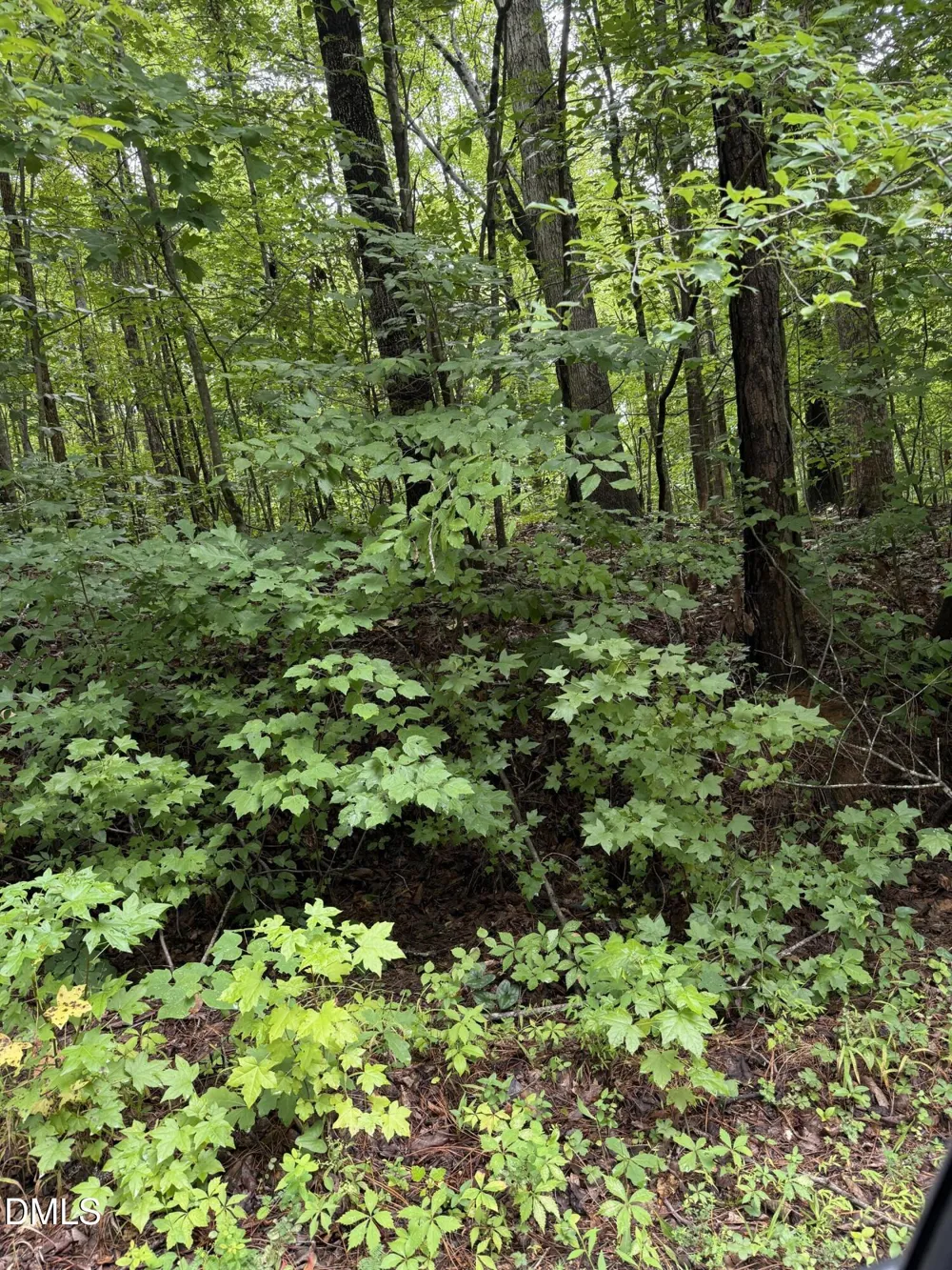 Lot 12 Frazier Lane Franklinton, NC 27525