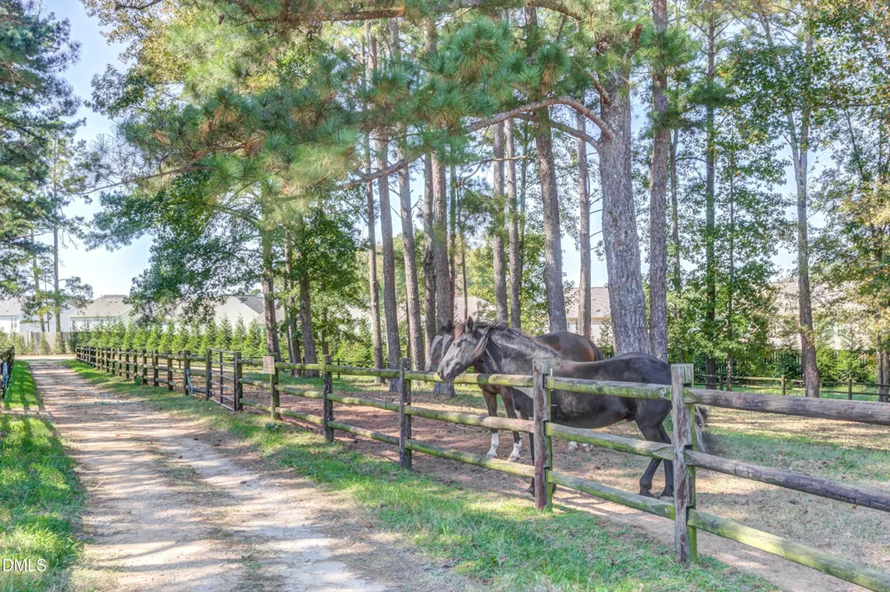 388 Bonaventure Drive Clayton, NC 27527