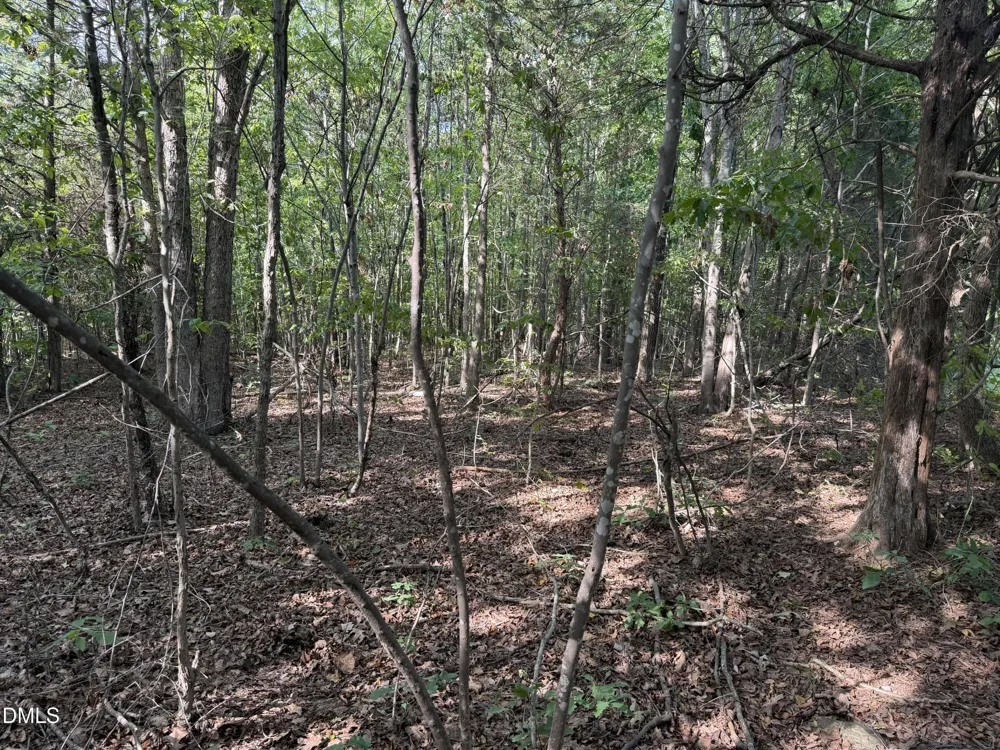 8585 Dirgie Mine Road Roxboro, NC 27574