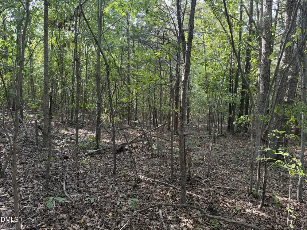 8585 Dirgie Mine Road Roxboro, NC 27574