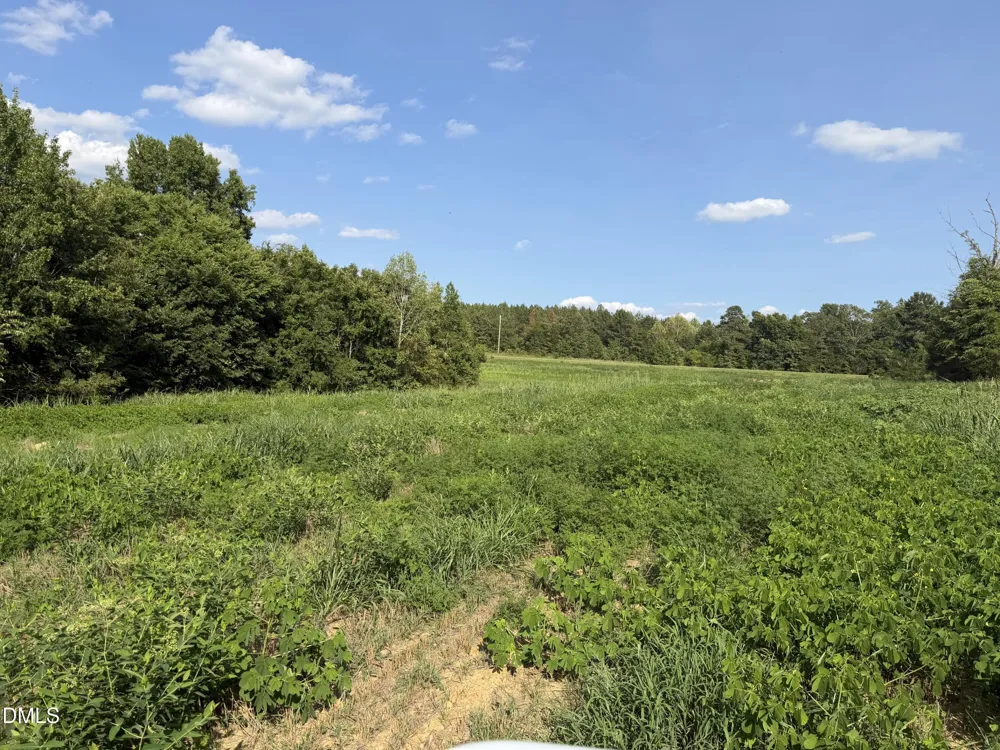 8585 Dirgie Mine Road Roxboro, NC 27574