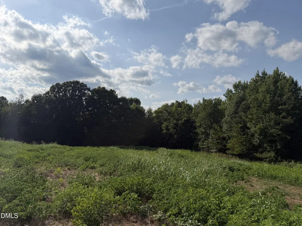 8585 Dirgie Mine Road Roxboro, NC 27574