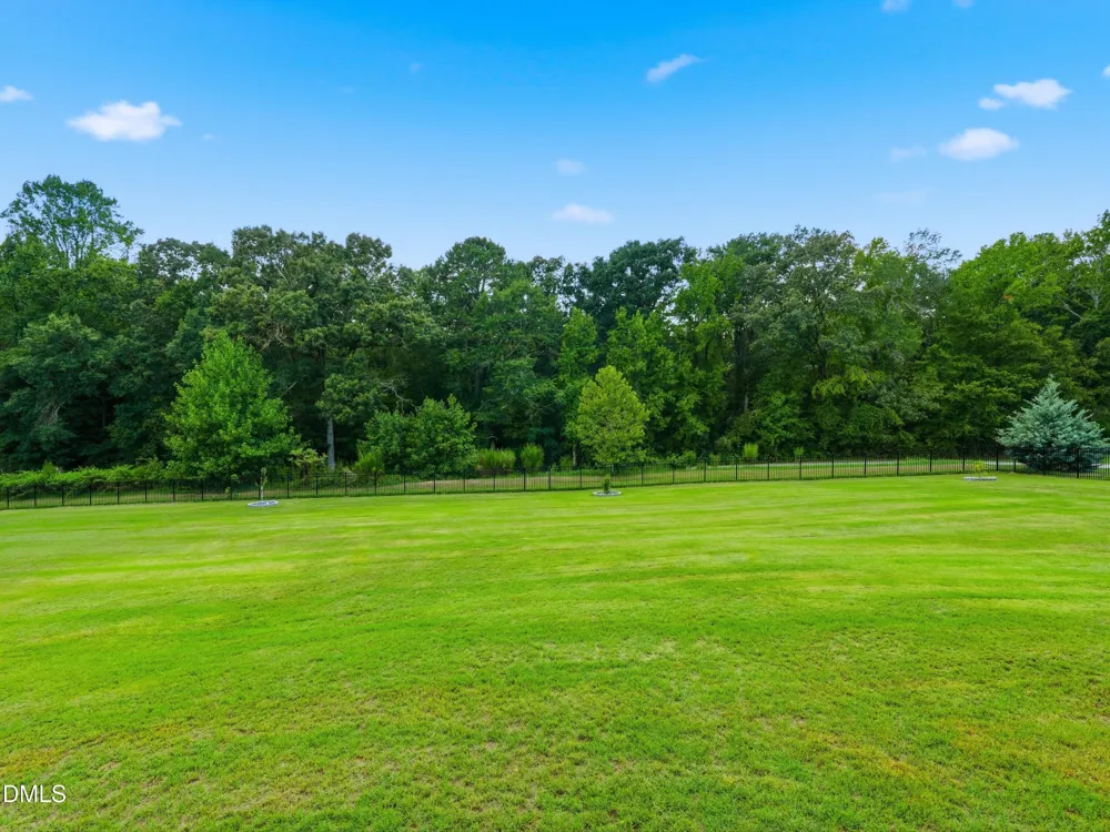 239 Morgan Farm Drive Lillington, NC 27546
