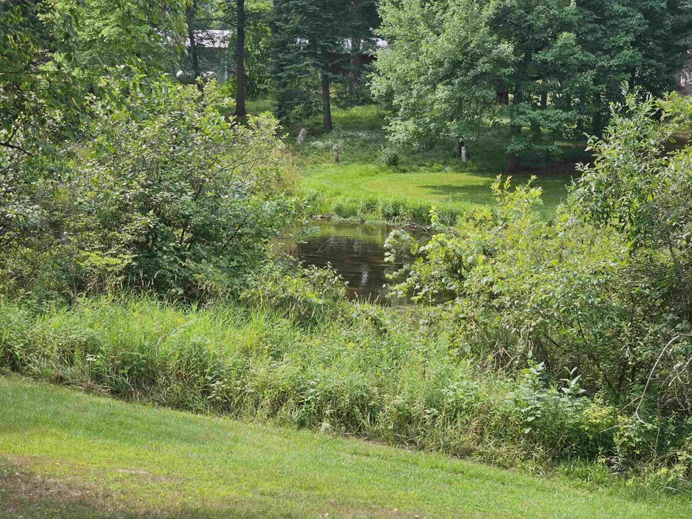 2371 W Rainbow Reeder Township, MI 49657