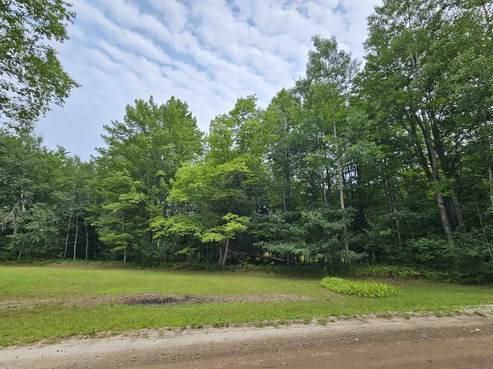 2371 W Rainbow Reeder Township, MI 49657