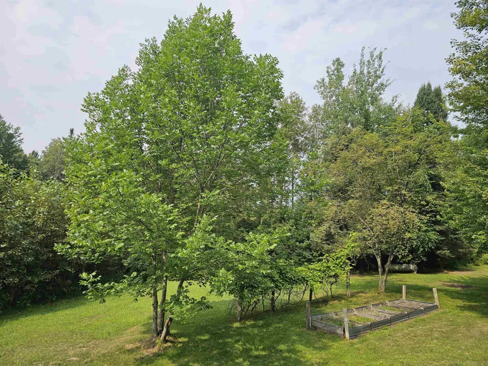 2371 W Rainbow Reeder Township, MI 49657