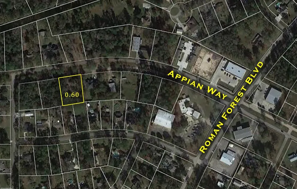 2210 Appian Way New Caney, TX 77357