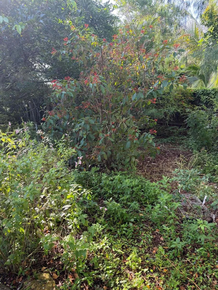303 S DELAWARE BOULEVARD Jupiter, FL 33458