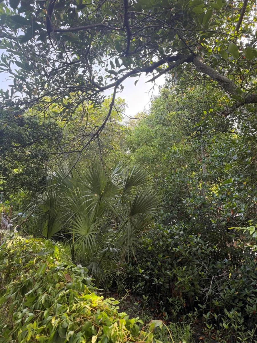 303 S DELAWARE BOULEVARD Jupiter, FL 33458