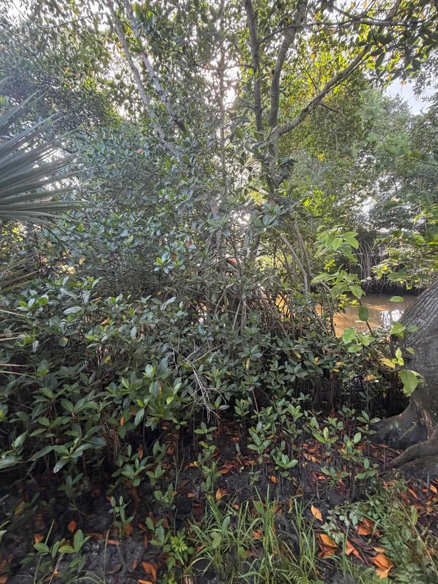 303 S DELAWARE BOULEVARD Jupiter, FL 33458