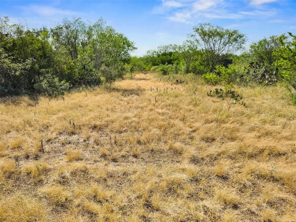 Broken Branch Trail Alice, TX 78384