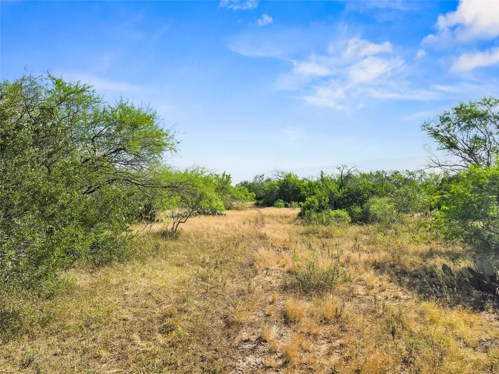 Broken Branch Trail Alice, TX 78384