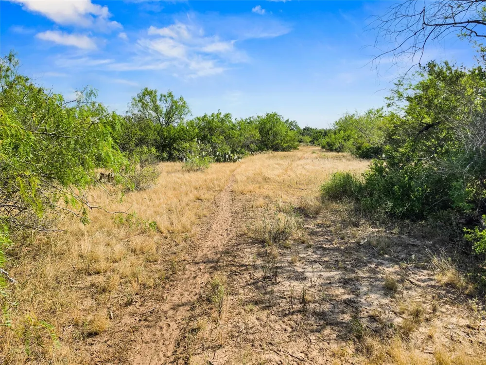 Broken Branch Trail Alice, TX 78384