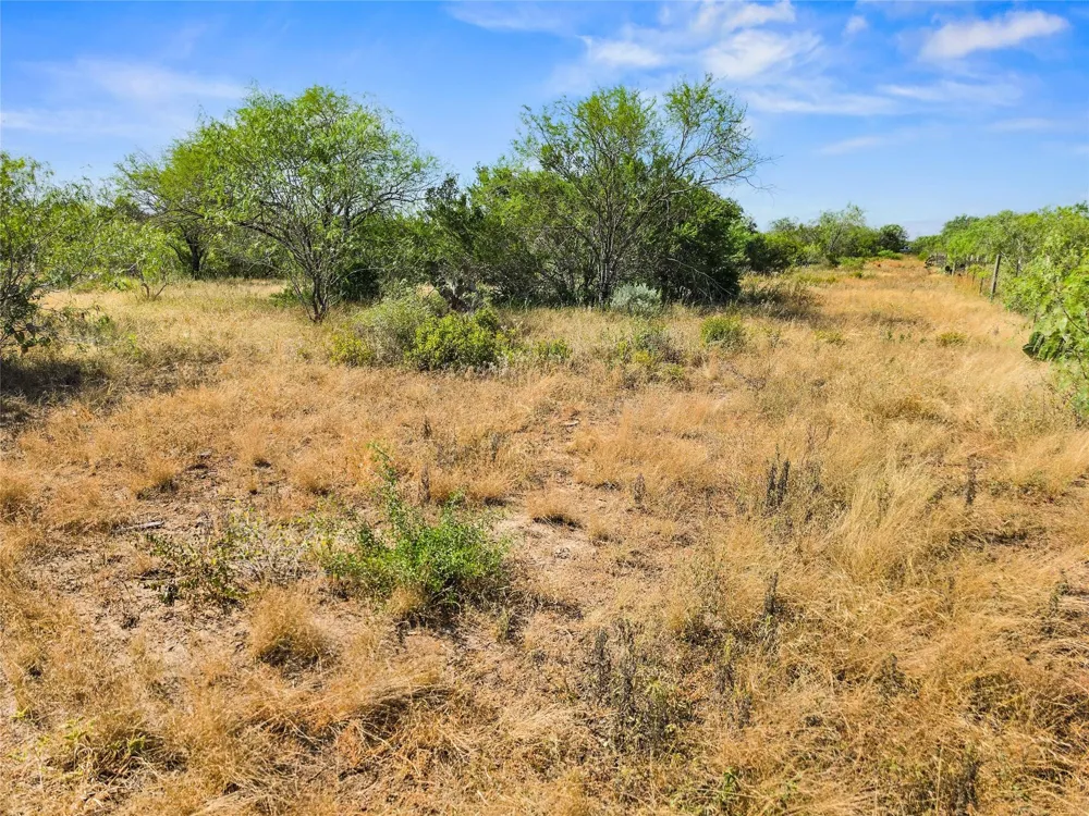 Broken Branch Trail Alice, TX 78384