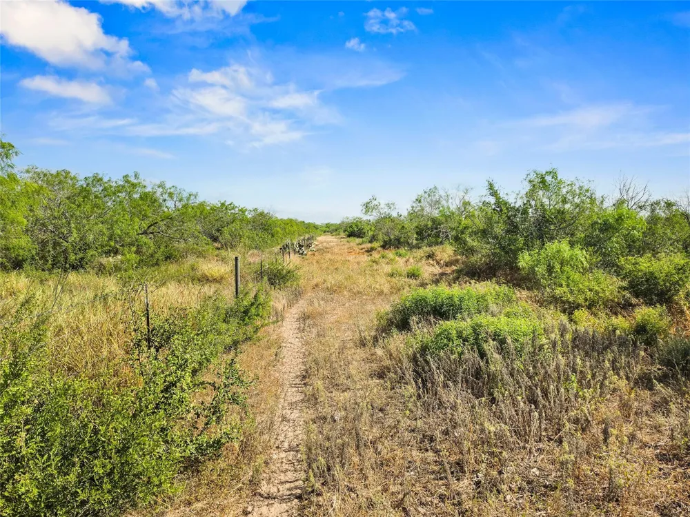 Broken Branch Trail Alice, TX 78384