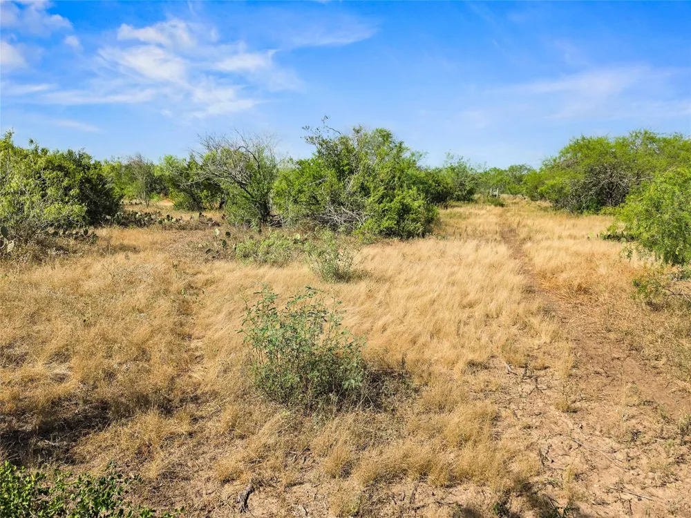 Broken Branch Trail Alice, TX 78384