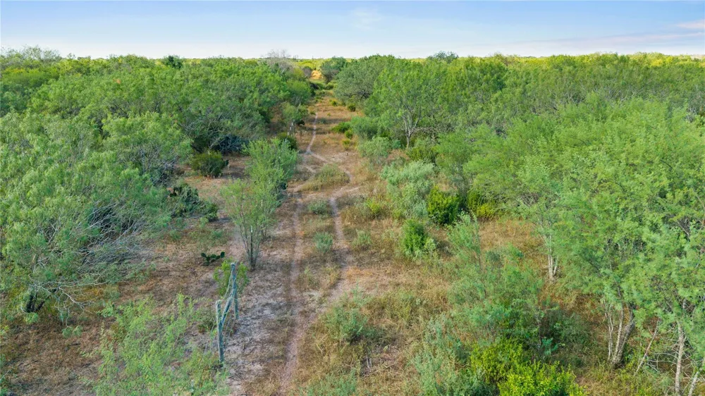 Broken Branch Trail Alice, TX 78384