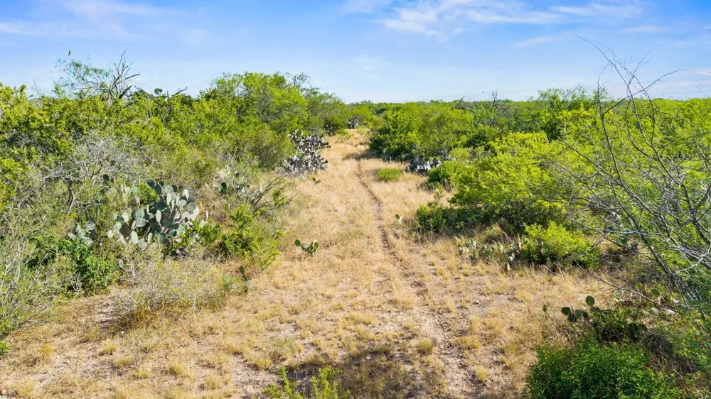 Broken Branch Trail Alice, TX 78384