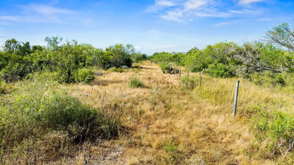 Broken Branch Trail Alice, TX 78384