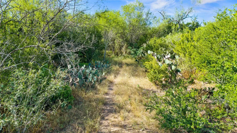 Broken Branch Trail Alice, TX 78384