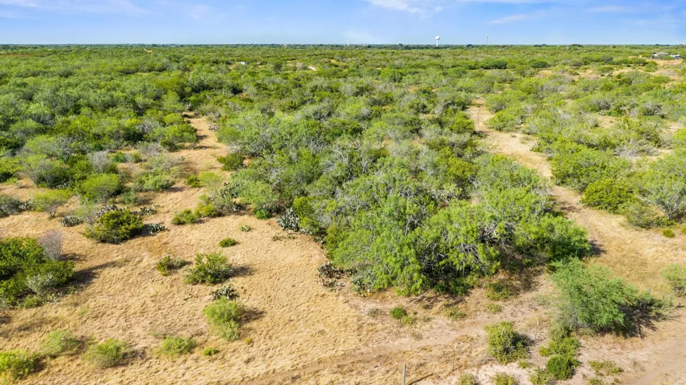 Broken Branch Trail Alice, TX 78384