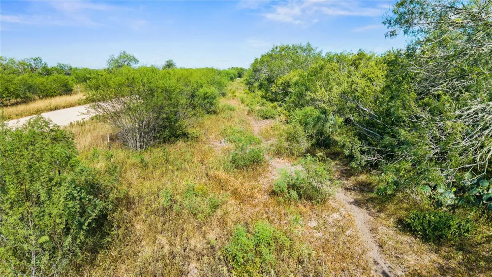 Broken Branch Trail Alice, TX 78384