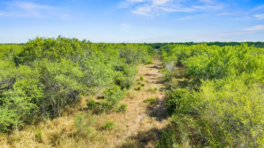 Broken Branch Trail Alice, TX 78384