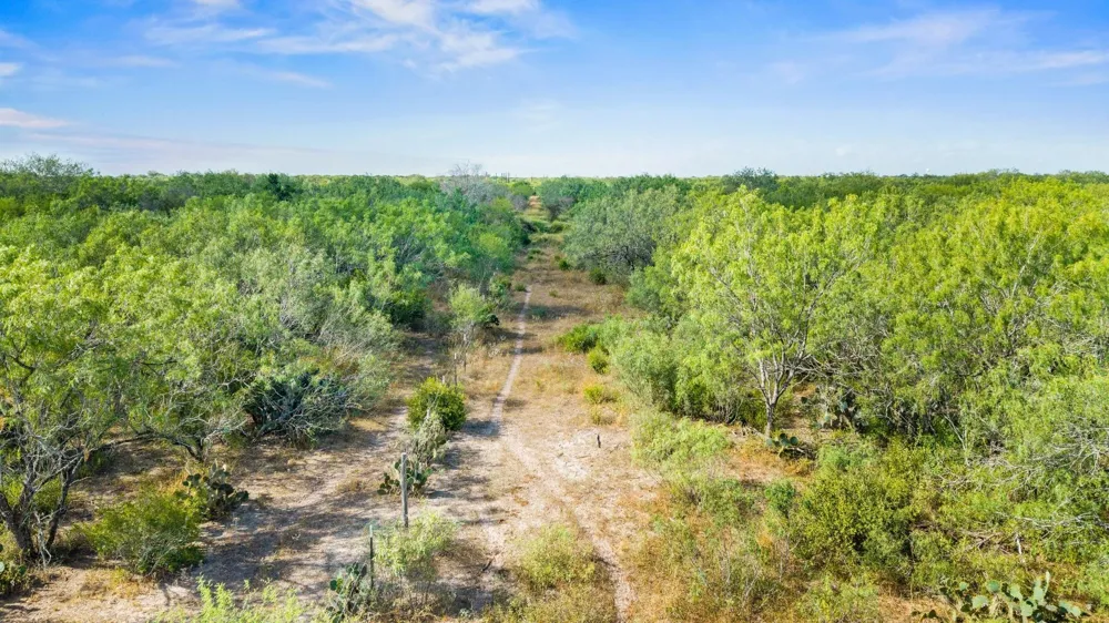Broken Branch Trail Alice, TX 78384