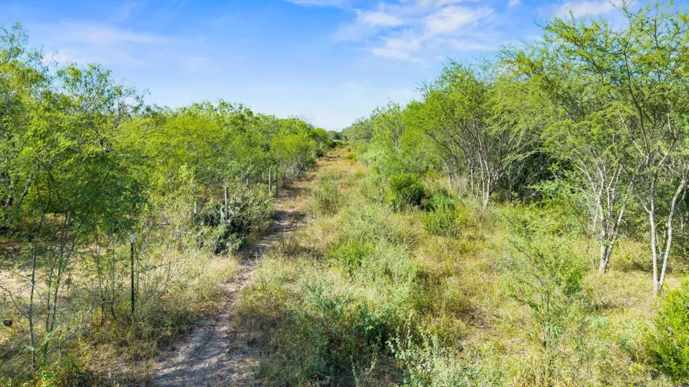Broken Branch Trail Alice, TX 78384