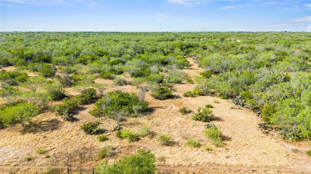 Broken Branch Trail Alice, TX 78384