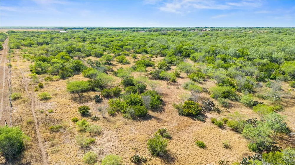 Broken Branch Trail Alice, TX 78384
