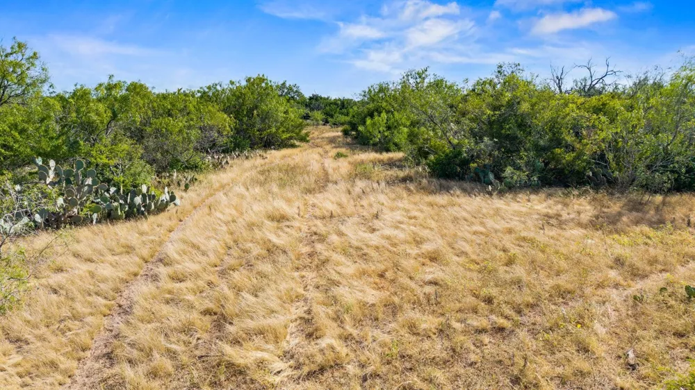Broken Branch Trail Alice, TX 78384