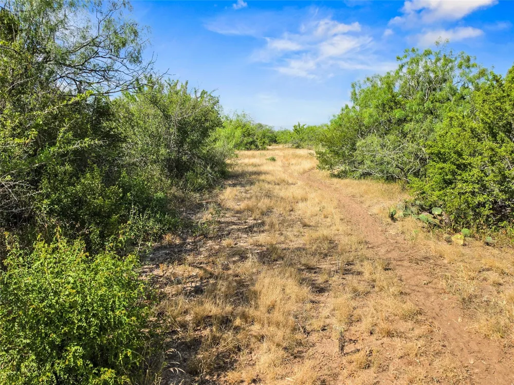 Broken Branch Trail Alice, TX 78384
