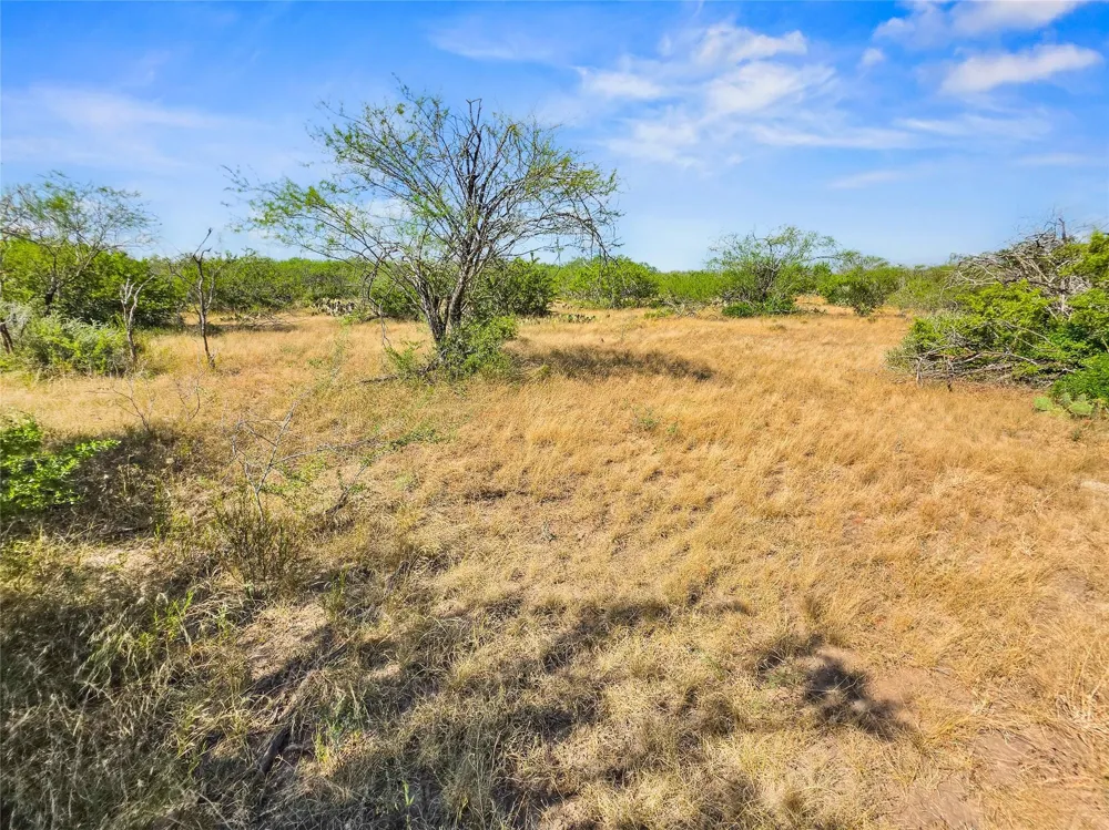 Broken Branch Trail Alice, TX 78384