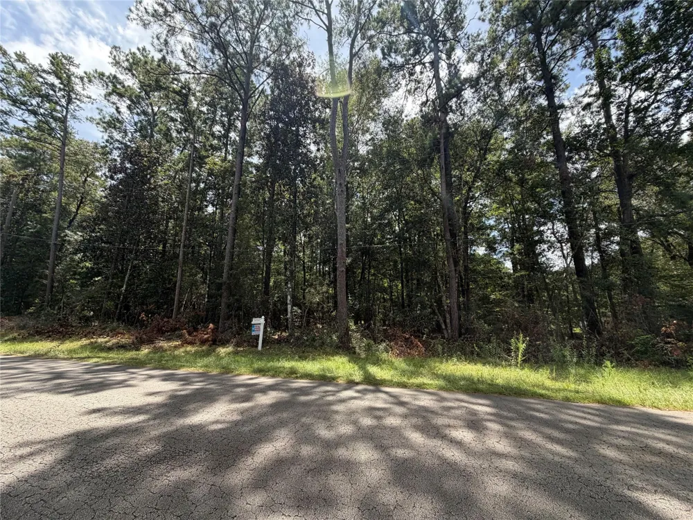 W Black Gum Drive Village Mills, TX 77663
