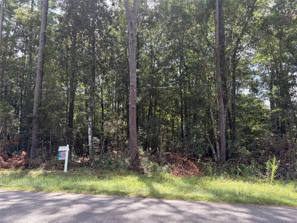 W Black Gum Drive Village Mills, TX 77663