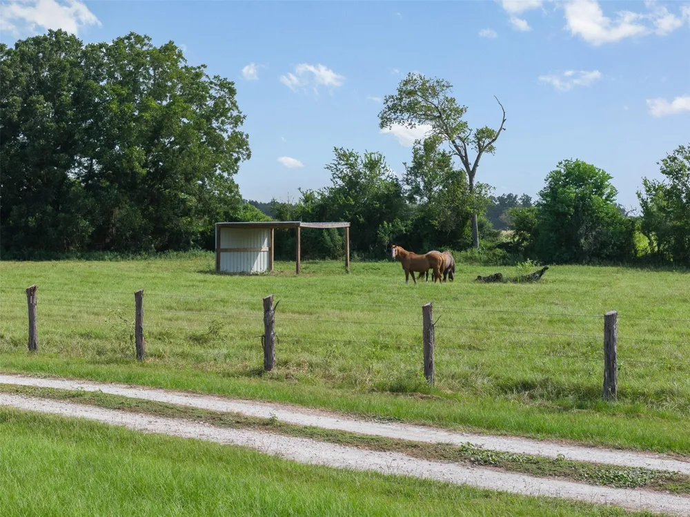 11043 County Road 336 Caldwell, TX 77836