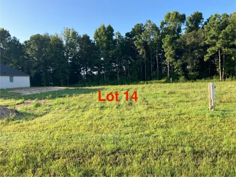1031 Tarkington Timbers Drive