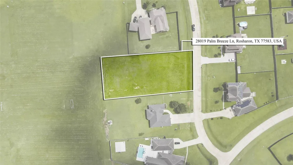 28019 Palm Breeze Lane Rosharon, TX 77583