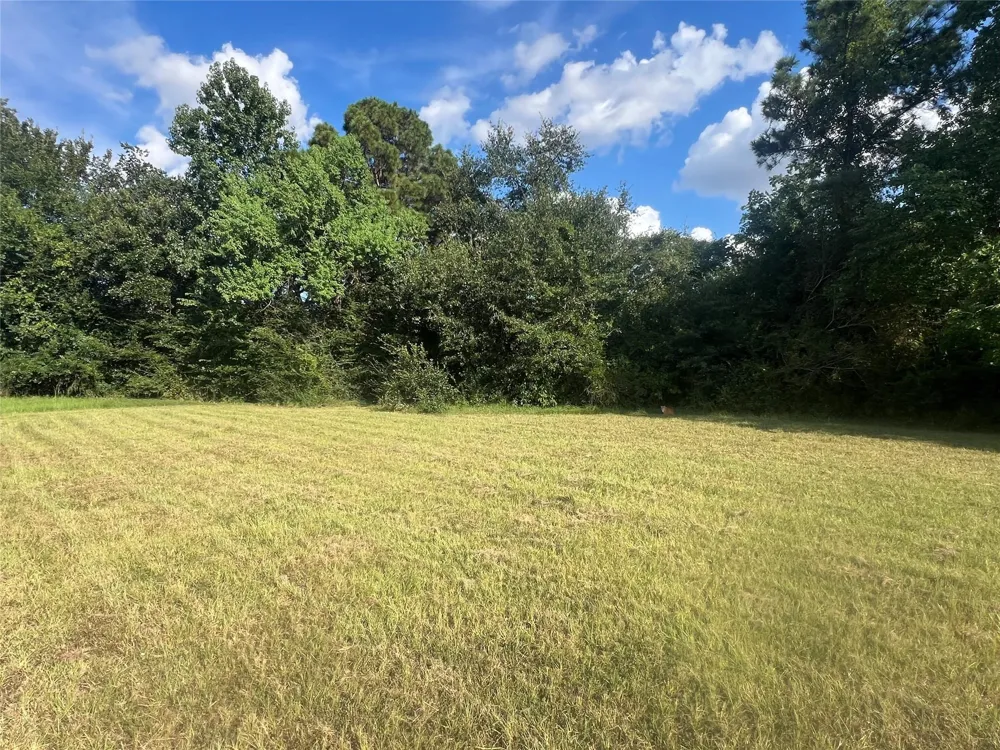 6511 Hoads Deuce Court Spring, TX 77379