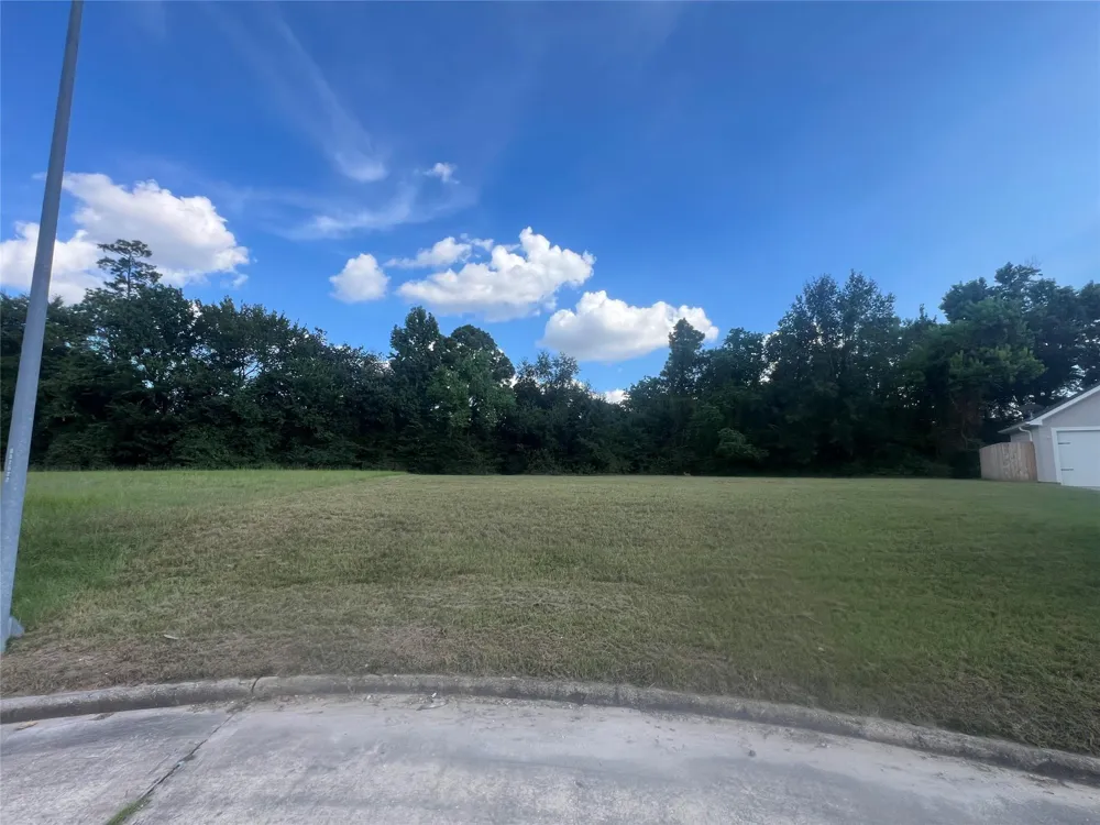6511 Hoads Deuce Court Spring, TX 77379