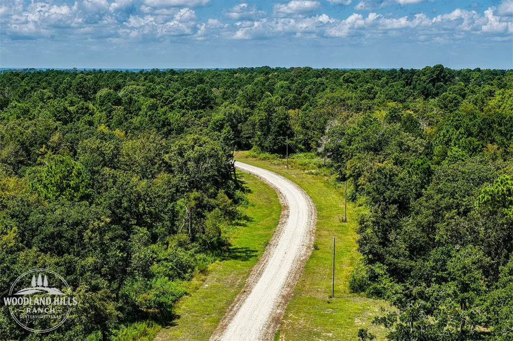 10 Lot 81 Woodland Hills Ranch Centerville, TX 75833