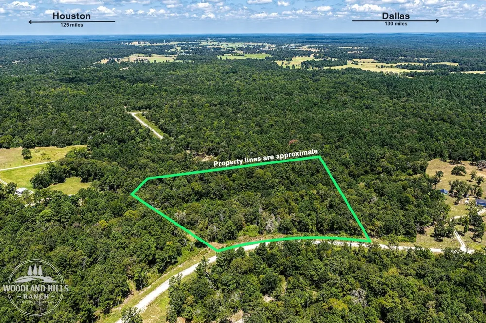 10 Lot 81 Woodland Hills Ranch Centerville, TX 75833