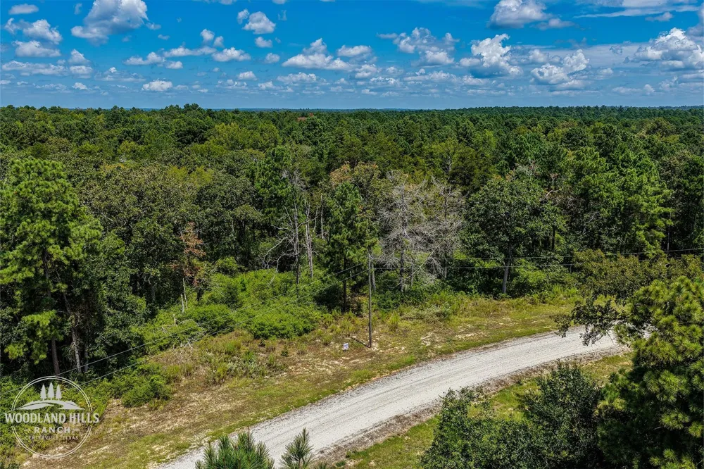 10 Lot 81 Woodland Hills Ranch Centerville, TX 75833