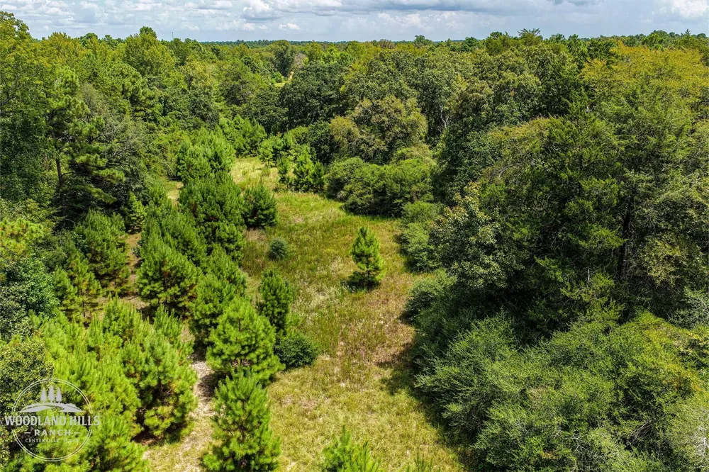 10 Lot 81 Woodland Hills Ranch Centerville, TX 75833