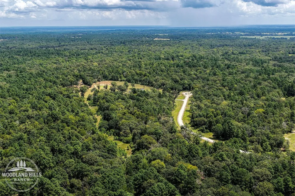 10 Lot 81 Woodland Hills Ranch Centerville, TX 75833